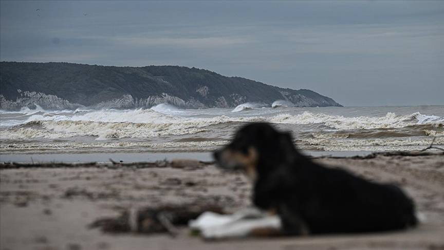 Şile’de hasar tespit ve temizlik çalışmaları yapılıyor - Resim: 27